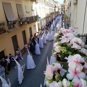 https://new-luxury-city-center.hotelsinnerja.org